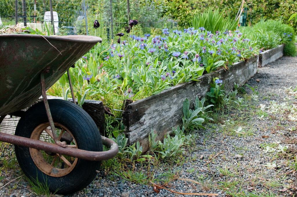 La Rosetta B&B Qualicum Beach Exterior photo