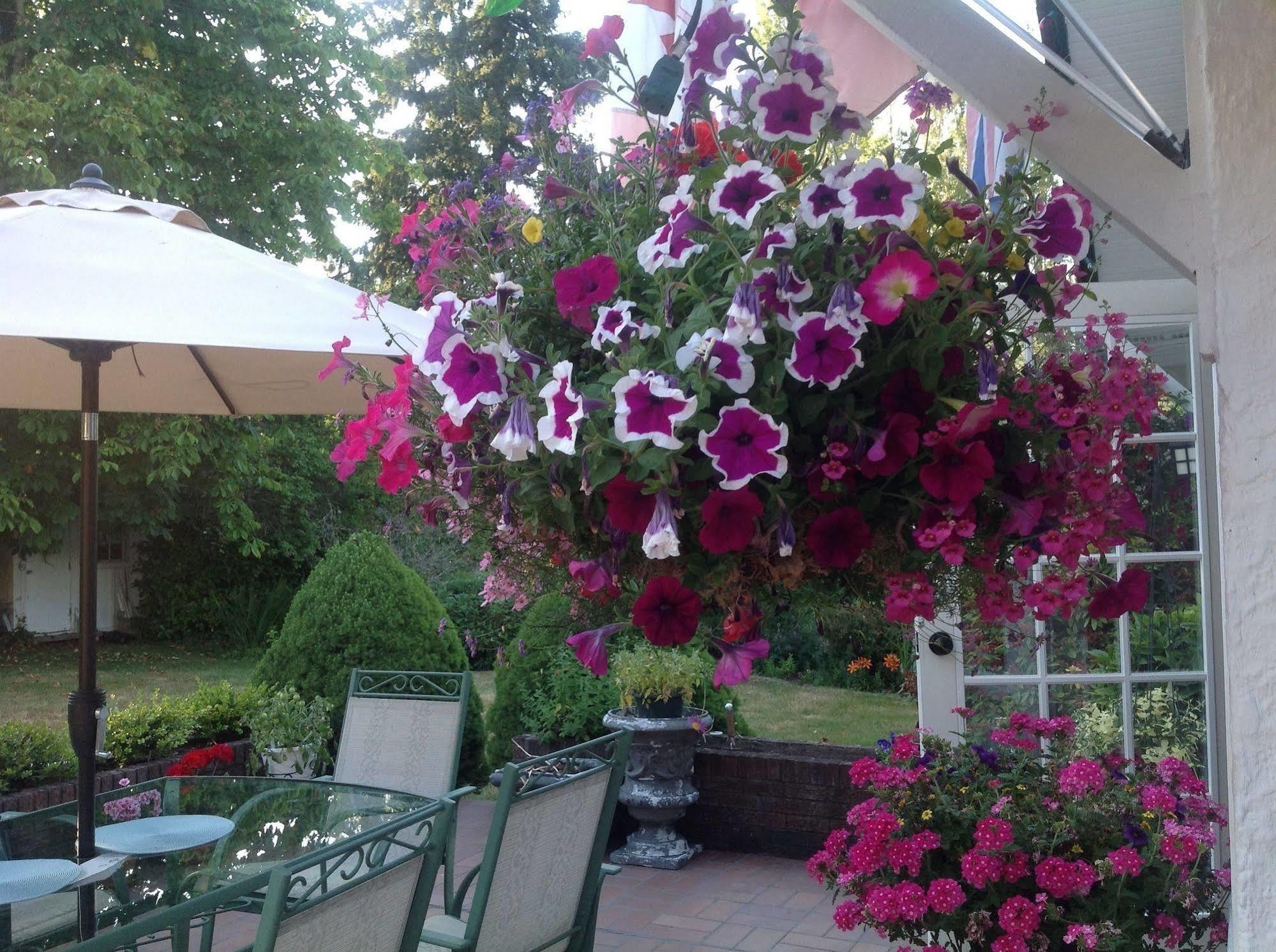 La Rosetta B&B Qualicum Beach Exterior photo